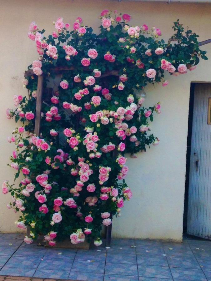 Les Petits Paniers Rivieres (Charente) Exterior foto